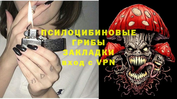 амф Инсар