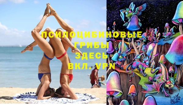 амф Инсар